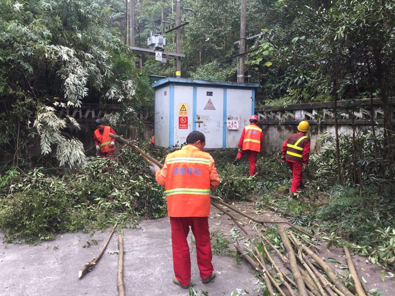 11.16+成乐运营+田明静+及时排除安全隐患 营造安全舒适行车环境.png