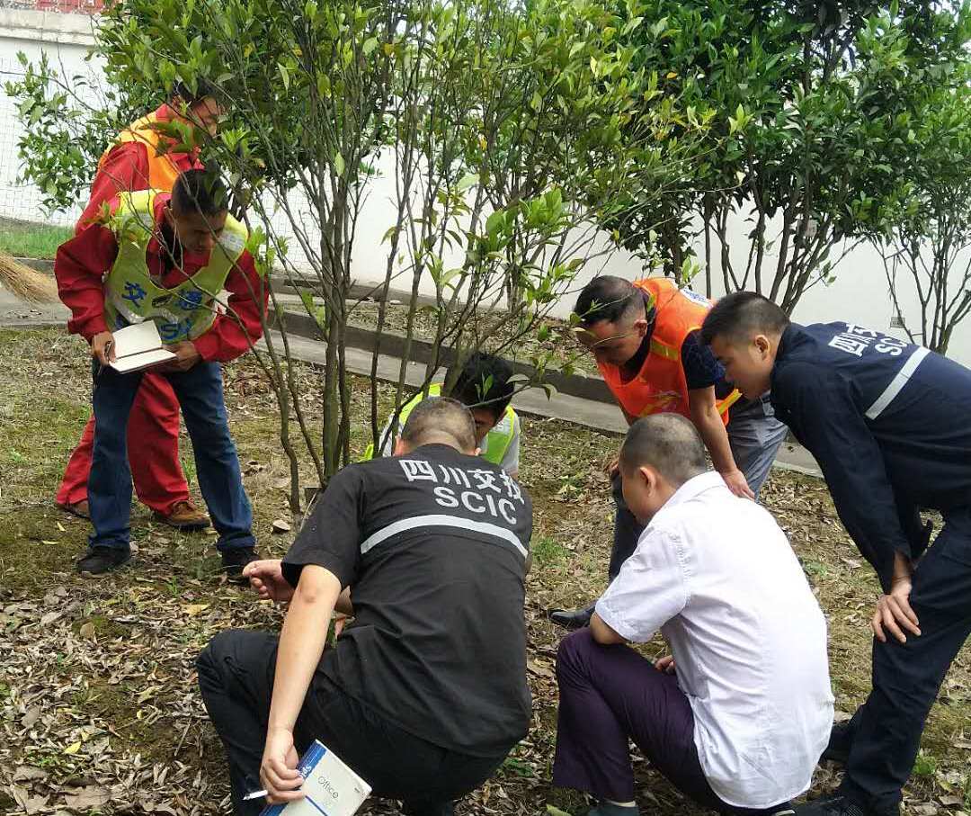 5.23+成乐运营+张传浩+成乐运营分公司组织开展绿化养护现场技术交流2.jpg 5.23+成乐运营+张传浩+成乐运营分公司组织开展绿化养护现场技术交流2.jpg