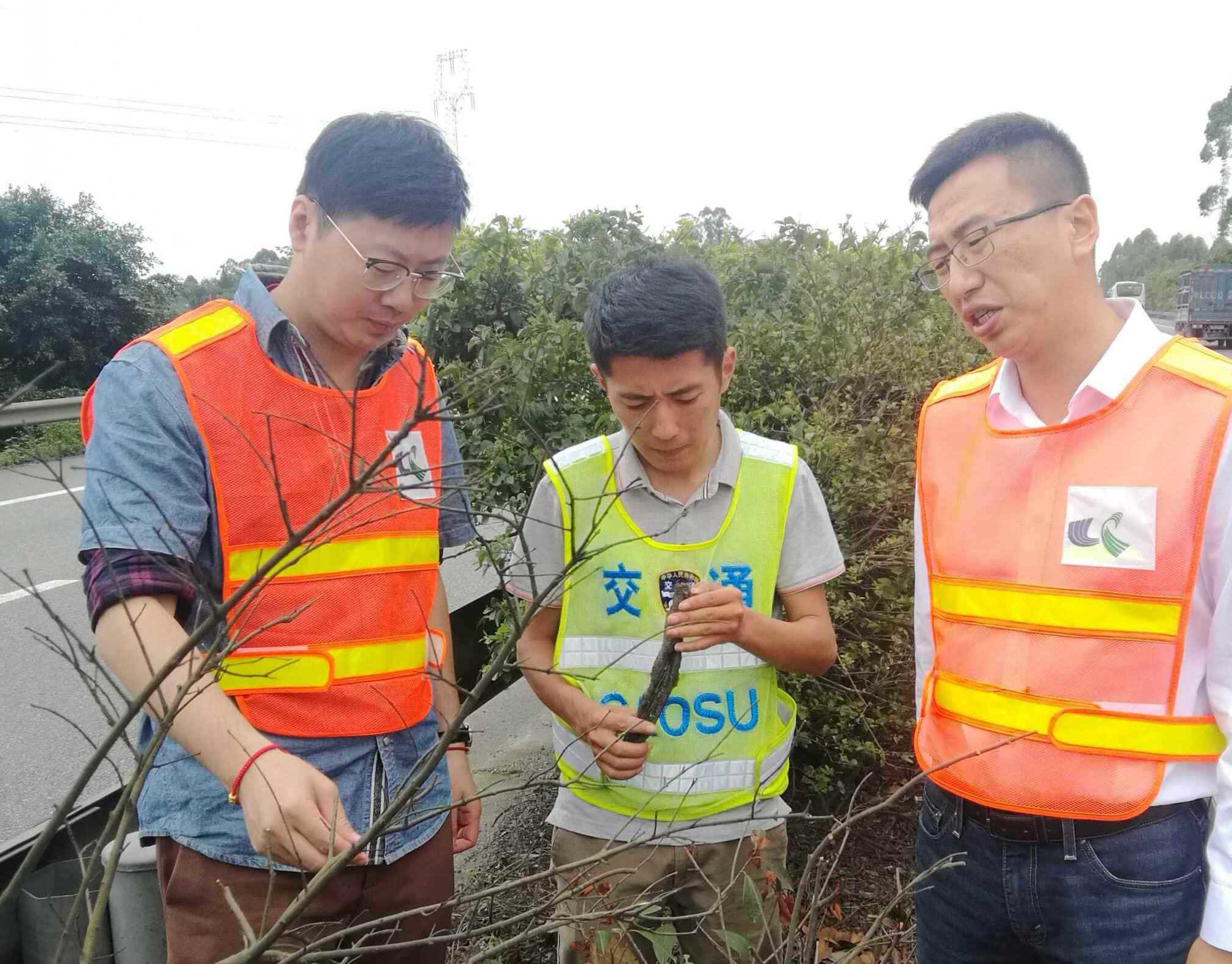 5.23+成乐运营+张传浩+成乐运营分公司组织开展绿化养护现场技术交流1.jpg 5.23+成乐运营+张传浩+成乐运营分公司组织开展绿化养护现场技术交流1.jpg