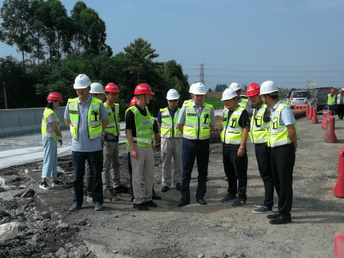 6.7+成渝公司党委委员罗祖义督导成乐扩容项目试验段推进工作_meitu_1.jpg